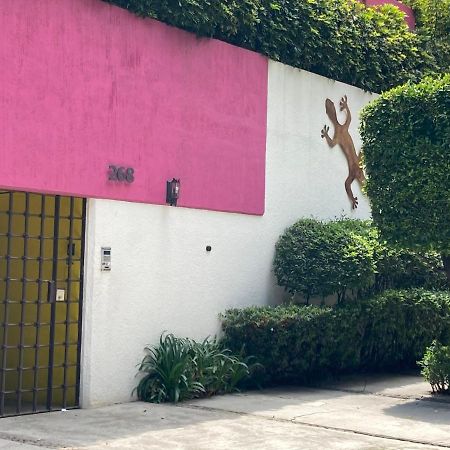 Hostal Cuija Coyoacan Berlin 268 Coyoacan Mexico City Exterior photo